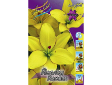 25,78���. �����  ������ ����� (�������� ���� �� 10 ��., ����������� ����� 1��.).jpg