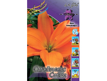 25,78���. �����  ��������� ���� (�������� ���� �� 10 ��., ����������� ����� 1��.).jpg