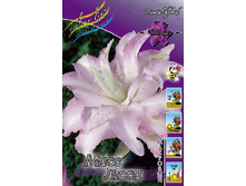 66,95���. �����  ���� ���� (�������� ���� �� 2 ��., ����������� ����� 1��.).jpg