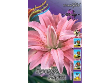 76,2���. �����  ������ ���� (�������� ���� �� 5 ��., ����������� ����� 1��.).jpg