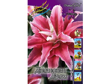 76,2���. �����  ������� ���� (�������� ���� �� 5 ��., ����������� ����� 1��.).jpg