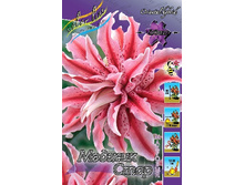 76,2���. �����  ������ ���� (�������� ���� �� 5 ��., ����������� ����� 1��.).jpg