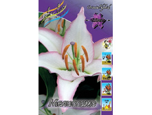 33,79���. �����  ��������� (�������� ���� �� 10 ��., ����������� ����� 1��.).jpg