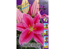 16,55���. �����  ���� ���� (��� 10 ��. ���������� ������ 5��.).jpg