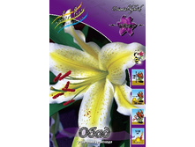 16,55���. �����  ���� (��� 10 ��. ���������� ������ 5��.).jpg