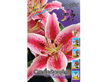 18,76���. �����  ��������� (��� 10 ��. ���������� ������ 5��.).jpg