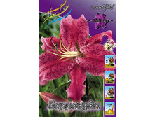 19,01���. �����  ��������� (��� 10 ��. ���������� ������ 5��.).jpg