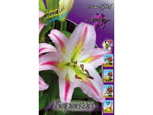 19,01���. �����  ������� (��� 10 ��. ���������� ������ 5��.).jpg