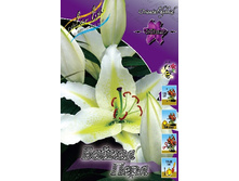 19,62���. �����  ������ ���� (��� 10 ��. ���������� ������ 5��.).jpg