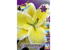 19,62���. �����  ��������� (��� 10 ��. ���������� ������ 5��.).jpg