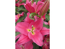 20,24���. �����  ������ (��� 10 ��. ���������� ������ 5��.).jpg