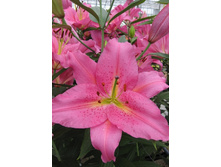 20,24���. �����  ����� ����� (��� 10 ��. ���������� ������ 5��.).jpg