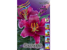 20,86���. �����  �������� (��� 10 ��. ���������� ������ 5��.).jpg