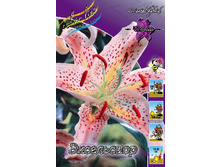 21,23���. �����  ���������� (��� 10 ��. ���������� ������ 5��.).jpg