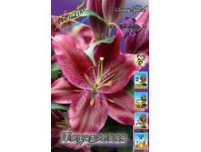 21,47���. �����  ���������� (��� 10 ��. ���������� ������ 5��.).jpg