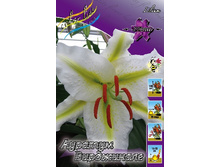 22,09���. �����  ���. ���������� (��� 10 ��. ���������� ������ 5��.).jpg