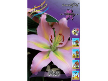 22,09���. �����  ��� (��� 10 ��. ���������� ������ 5��.).jpg