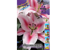 22,09���. �����  �������� (��� 10 ��. ���������� ������ 5��.).jpg