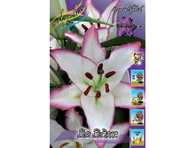 22,7���. �����  �� ��� (��� 10 ��. ���������� ������ 5��.).jpg