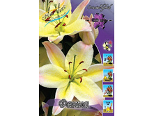 22,7���. �����  ����� (��� 10 ��. ���������� ������ 5��.).jpg