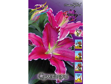 23,32���. �����  ������� (��� 10 ��. ���������� ������ 5��.).jpg