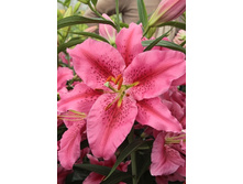 24,55���. �����  ����� ���� (��� 10 ��. ���������� ������ 5��.).jpg