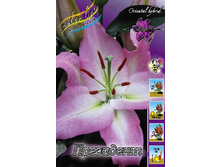 25,17���. �����  ��������� (�������� ���� �� 10 ��., ����������� ����� 1��.).jpg