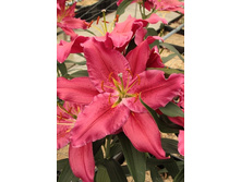 25,78���. �����  ������ (�������� ���� �� 10 ��., ����������� ����� 1��.).jpg