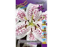 26,4���. �����  ������������� (�������� ���� �� 10 ��., ����������� ����� 1��.).jpg