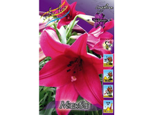 23,94���. �����  ����� (��� 10 ��. ���������� ������ 5��.).jpg