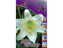 15,31���. �����  ���� ������� (��� 10 ��. ���������� ������ 5��.).jpg