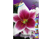 17,78���. �����  ������ (��� 10 ��. ���������� ������ 5��.).jpg