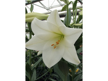 21,47���. �����  ������ (��� 10 ��. ���������� ������ 5��.).jpg