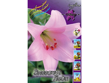 22,7���. �����  ������� ���� (��� 10 ��. ���������� ������ 5��.).jpg