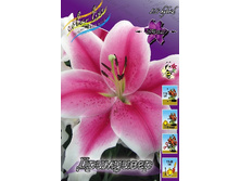 31,94���. �����  ��������� (�������� ���� �� 10 ��., ����������� ����� 1��.).jpg