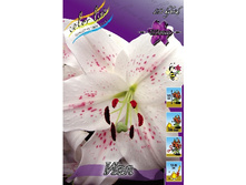 31,94���. �����  ��� (�������� ���� �� 10 ��., ����������� ����� 1��.).jpg