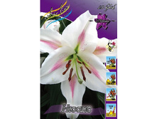 31,94���. �����  ����� (�������� ���� �� 10 ��., ����������� ����� 1��.).jpg