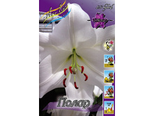 31,94���. �����  ����� (�������� ���� �� 10 ��., ����������� ����� 1��.).jpg