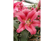 31,94���. �����  ���� ������ (�������� ���� �� 10 ��., ����������� ����� 1��.).jpg