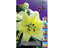 17,78���. �����  ��������� (��� 10 ��. ���������� ������ 5��.).jpg