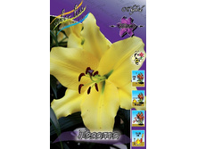 20,24���. �����  ������ (��� 10 ��. ���������� ������ 5��.).jpg