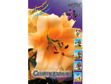 20,36���. �����  ���������� (��� 10 ��. ���������� ������ 5��.).jpg