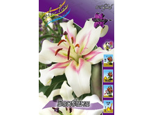 20,86���. �����  ������� (��� 10 ��. ���������� ������ 5��.).jpg