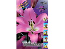 22,09���. �����  ��������� (��� 10 ��. ���������� ������ 5��.).jpg