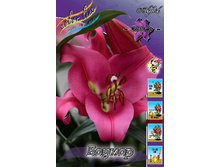 25,17���. �����  ������ (�������� ���� �� 10 ��., ����������� ����� 1��.).jpg