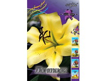 25,17���. �����  ������� (�������� ���� �� 10 ��., ����������� ����� 1��.).jpg