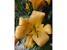 25,78���. �����  ������ (�������� ���� �� 10 ��., ����������� ����� 1��.).jpg