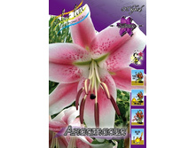 28,86���. �����  ��������� (�������� ���� �� 10 ��., ����������� ����� 1��.).jpg