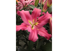 31,94���. �����  �������� (�������� ���� �� 10 ��., ����������� ����� 1��.).jpg