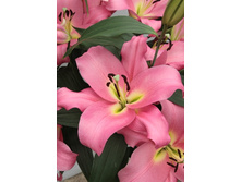 31,94���. �����  ��������� (�������� ���� �� 10 ��., ����������� ����� 1��.).jpg